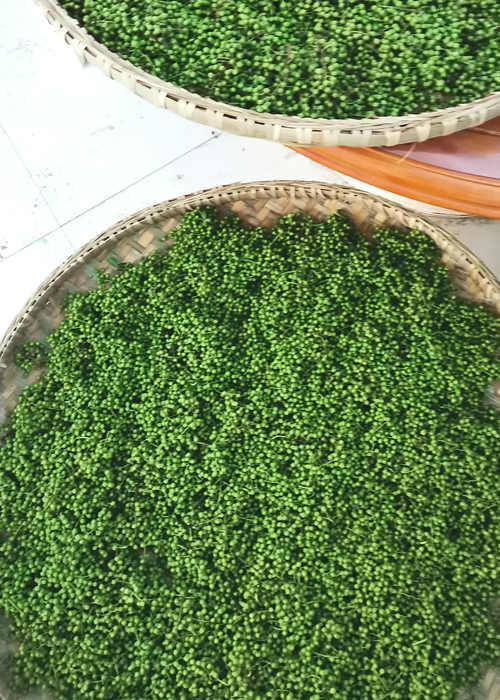 原生態鮮花椒
